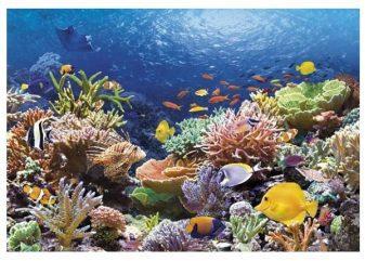 Пазлы 1000 Коралловый риф
