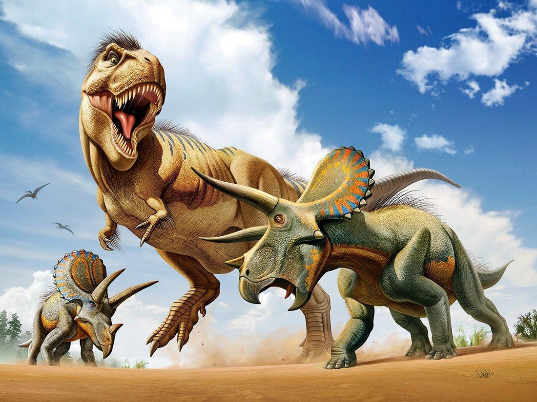 Пазл Super 3D Тираннозавр против трицератопса, 500 детал.