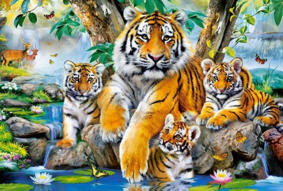 Пазлы 1000 Семья тигров у ручья