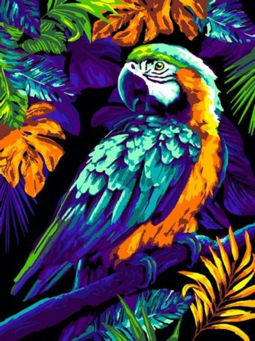 Картина по номерам на картоне Яркий попугай 28,5х38 см